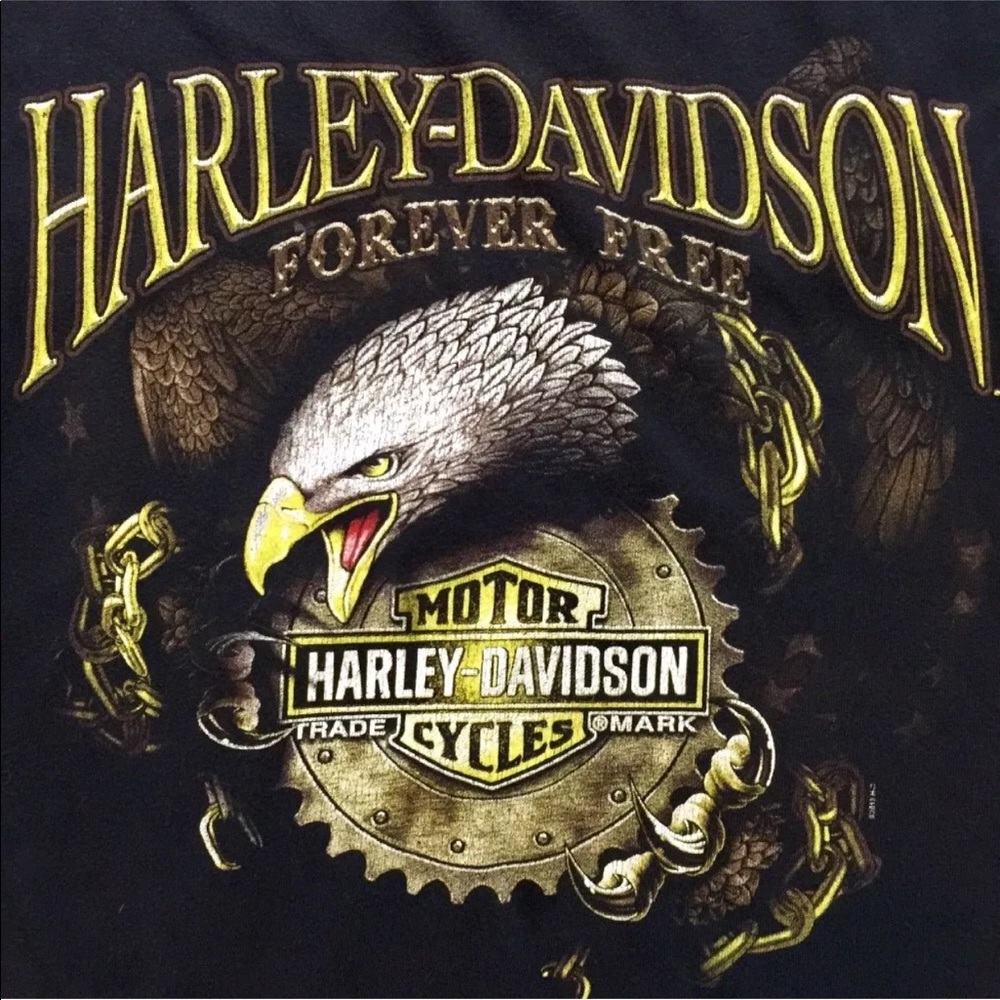 Harley Davidson Men’s Graphic T-shirt Black Sz XL